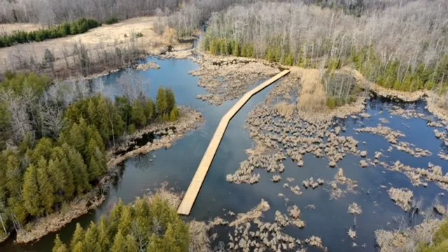 swim raft