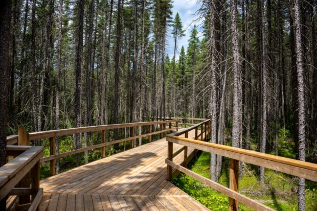 Algonquin Provincial Park
