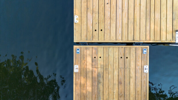 Southern Yellow Pine