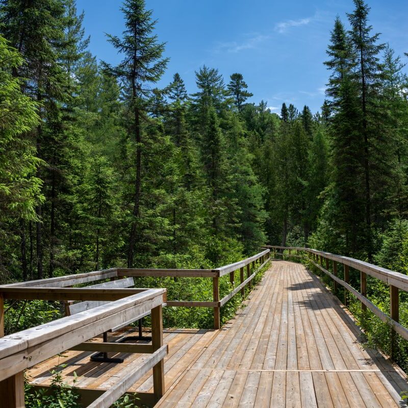 Algonquin Park Fork Trail